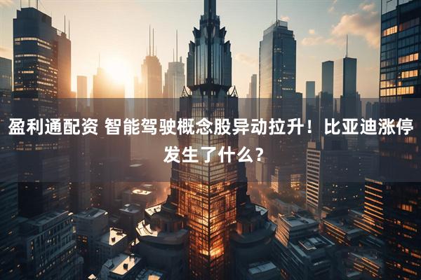 盈利通配资 智能驾驶概念股异动拉升！比亚迪涨停 发生了什么？