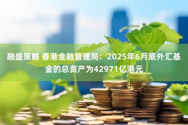 融盛策略 香港金融管理局：2025年6月底外汇基金的总资产为42971亿港元